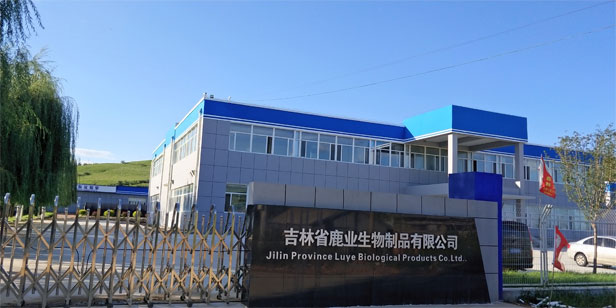 免费资料库大全