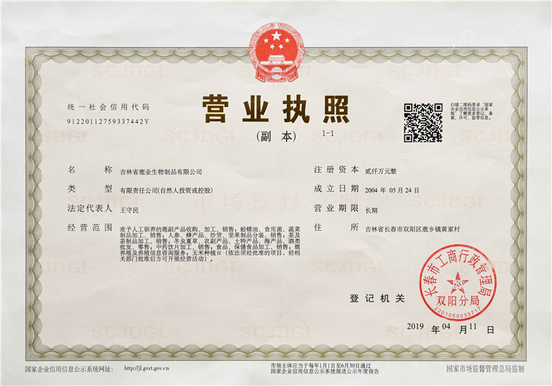 免费资料库大全