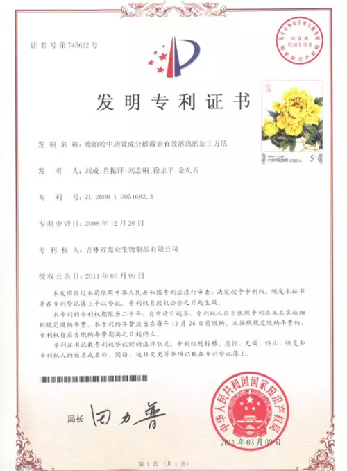 免费资料库大全