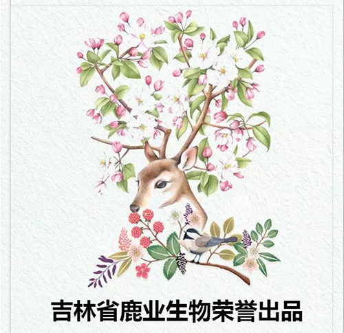免费资料库大全