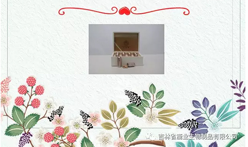 免费资料库大全