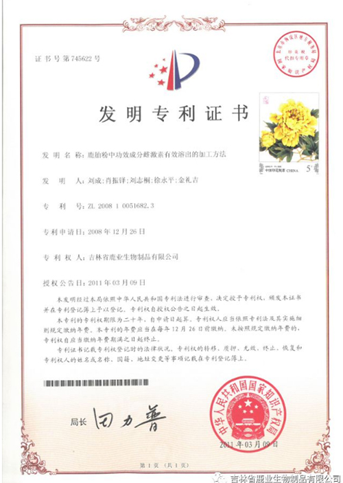 免费资料库大全