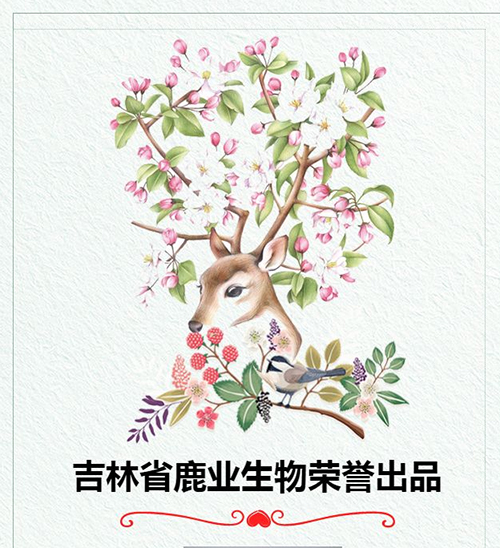 免费资料库大全