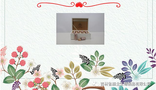 免费资料库大全